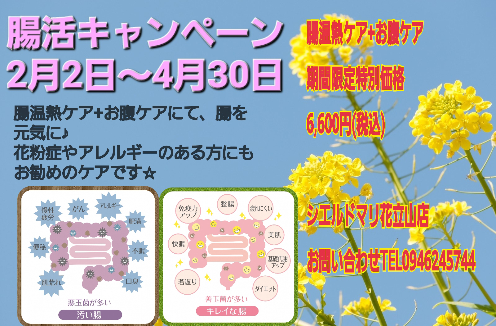 腸活キャンペーン