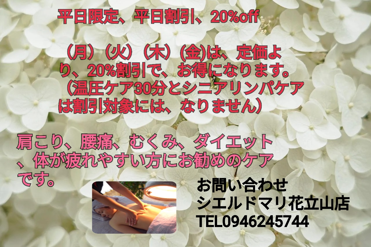 平日限定平日割引20%off