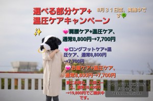 230530_onkatsu_img