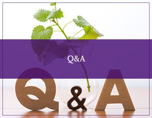 Q&A